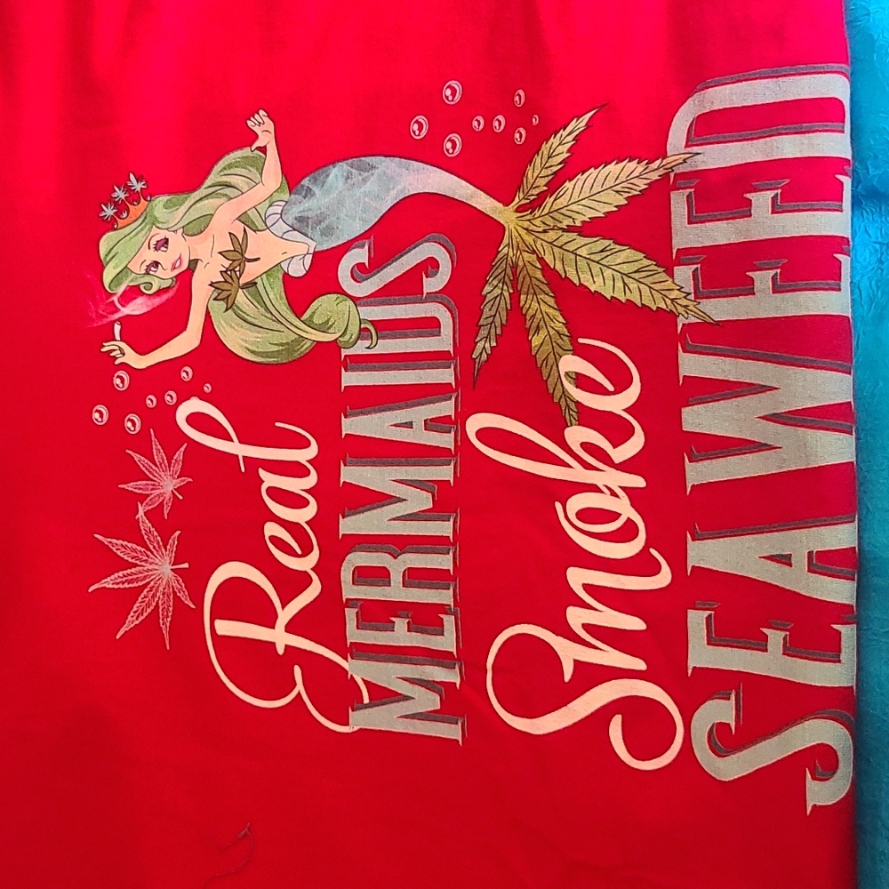 HANES Little Mermaid for adults only